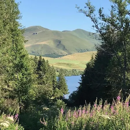 T2 Au Mont-dore, Proche Thermes, 4 Pers - Fr-1-608-294 *